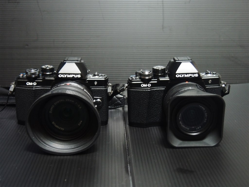 1~4まで有りますが2で満足』 オリンパス OM-D E-M10 Mark II ボディ