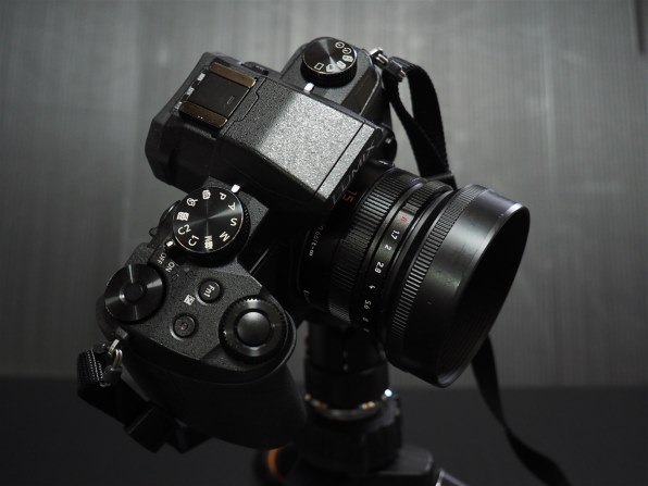 パナソニック LUMIX DMC-G8 ボディ投稿画像・動画 - 価格.com