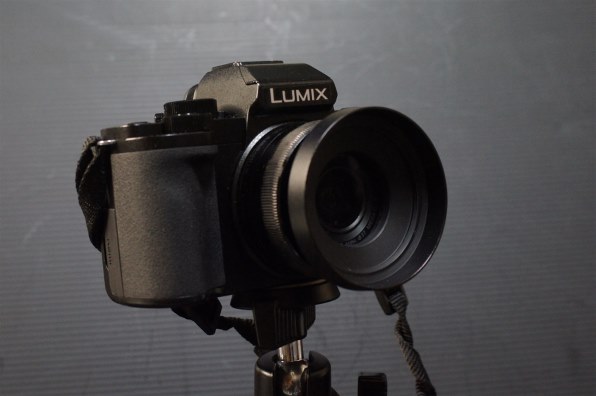 SONY DT 30mm F2.8 Macro SAM SAL30M28で撮影された写真 - 価格.com