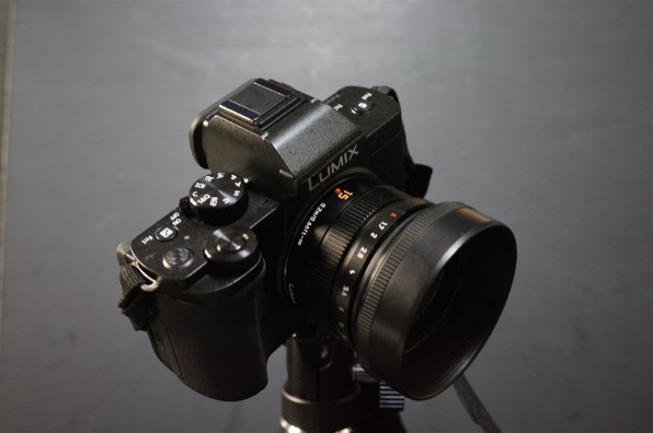 SONY DT 30mm F2.8 Macro SAM SAL30M28で撮影された写真 - 価格.com