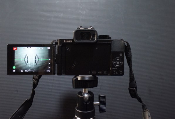 SONY DT 30mm F2.8 Macro SAM SAL30M28で撮影された写真 - 価格.com