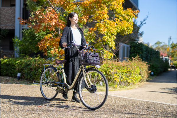 TDF-14Z PELTECH 電動自転車・電動アシスト自転車 26インチ | 自転車