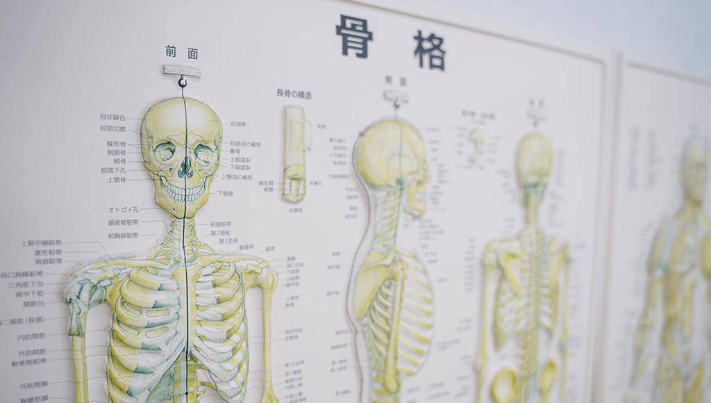 施術の流れ | 【札幌西区の整体】からだリセット整体院さっぽろ（予約