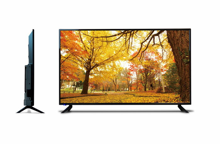 楽天市場】ティーズネットワーク TEES 50V型デジタルフルハイビジョンW