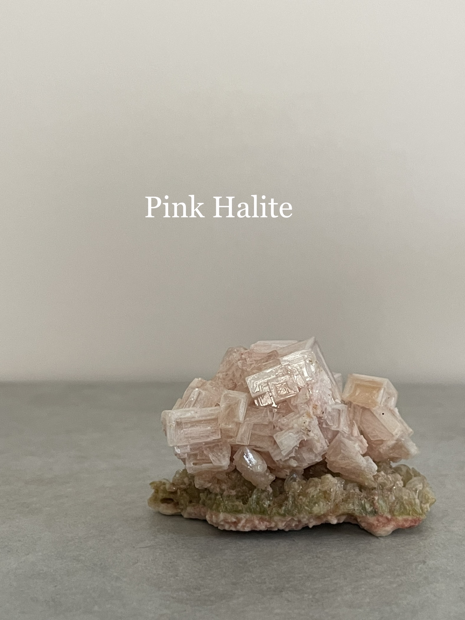 カリフォルニア産ピンクハライト | RHODON