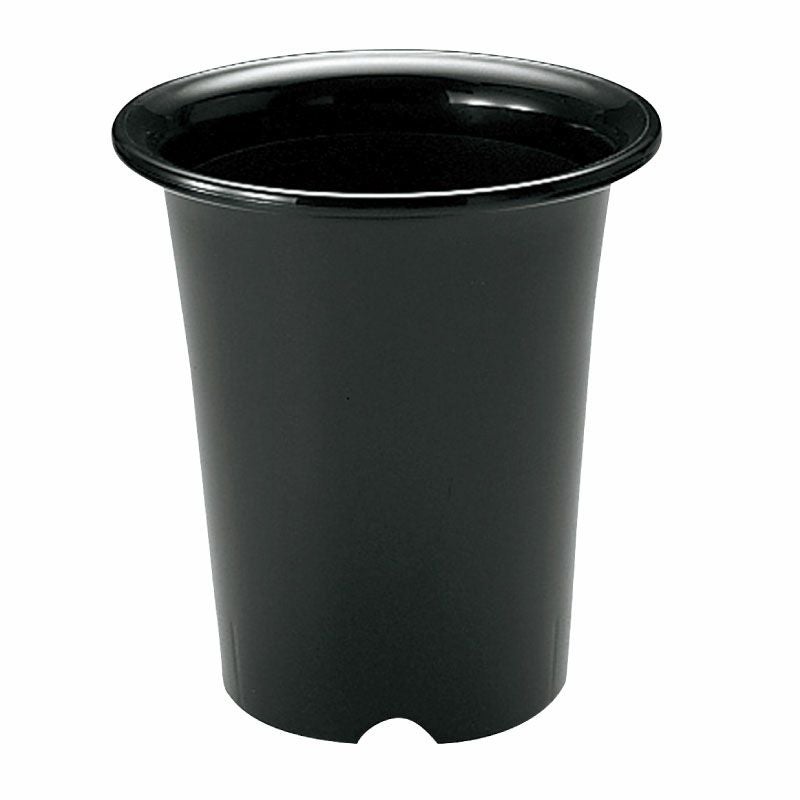 000000000936-01.jpg?size=m&w=