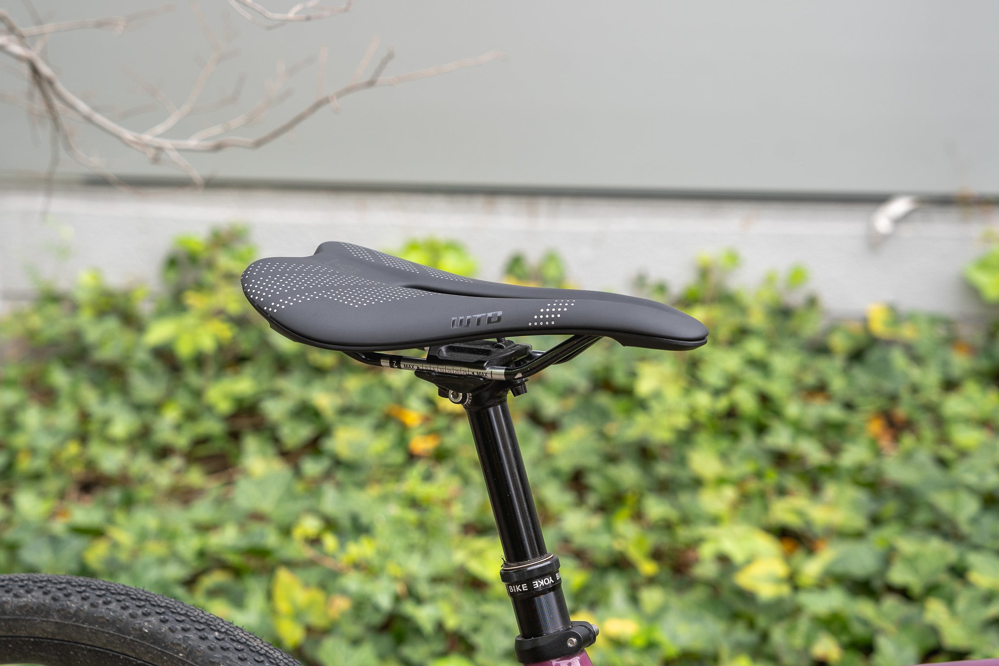 WTB GRAVELIER グラベリエ サドル – Grumpy Bike Shop