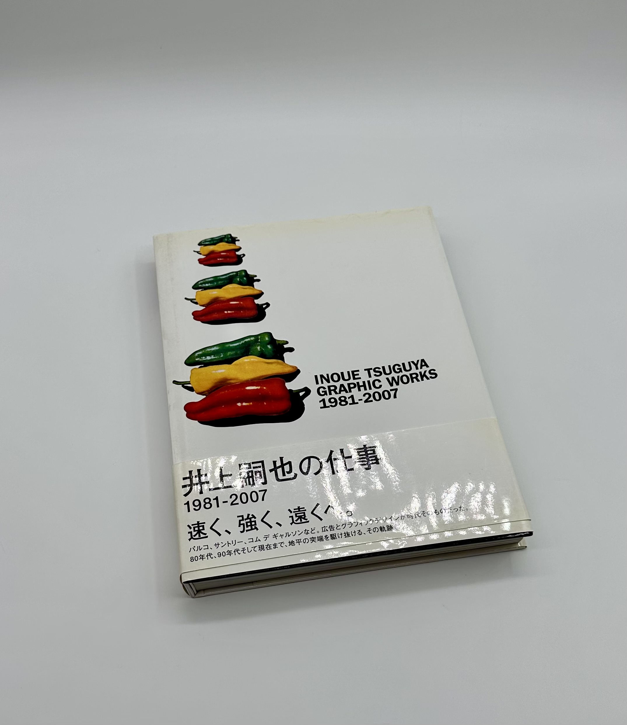 井上嗣也作品集 INOUE TSUGUYA GRAPHIC WORKS 1981-2007 - りーちあーと