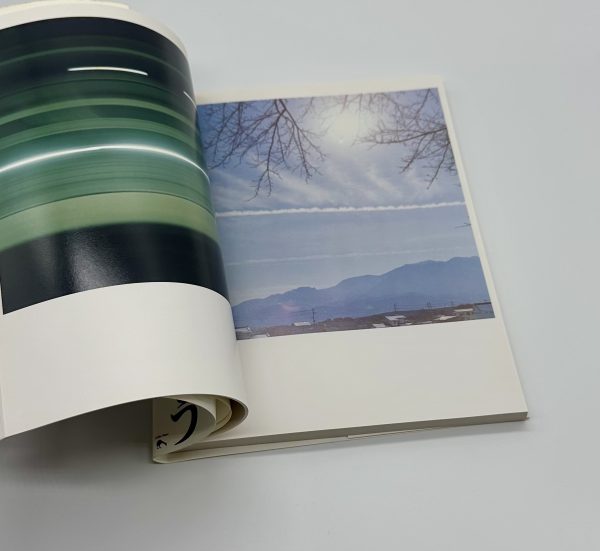 川内倫子いきなり三部作 うたたね 花火 花子 3冊揃 - りーちあーと