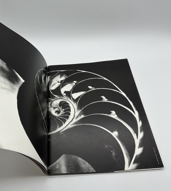 COMME des GARÇONS 非売品 アート冊子 SIX purple ② 2026年最新