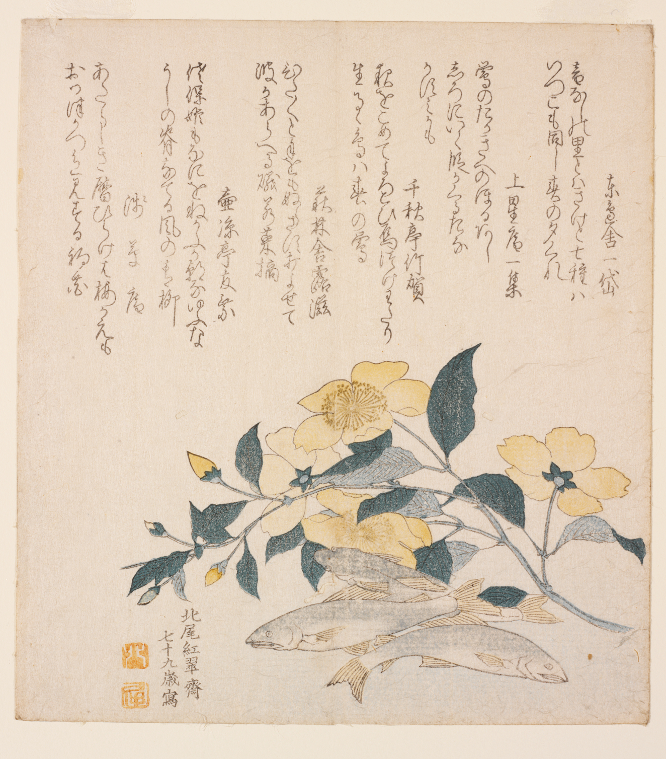 Collection | RISD Museum