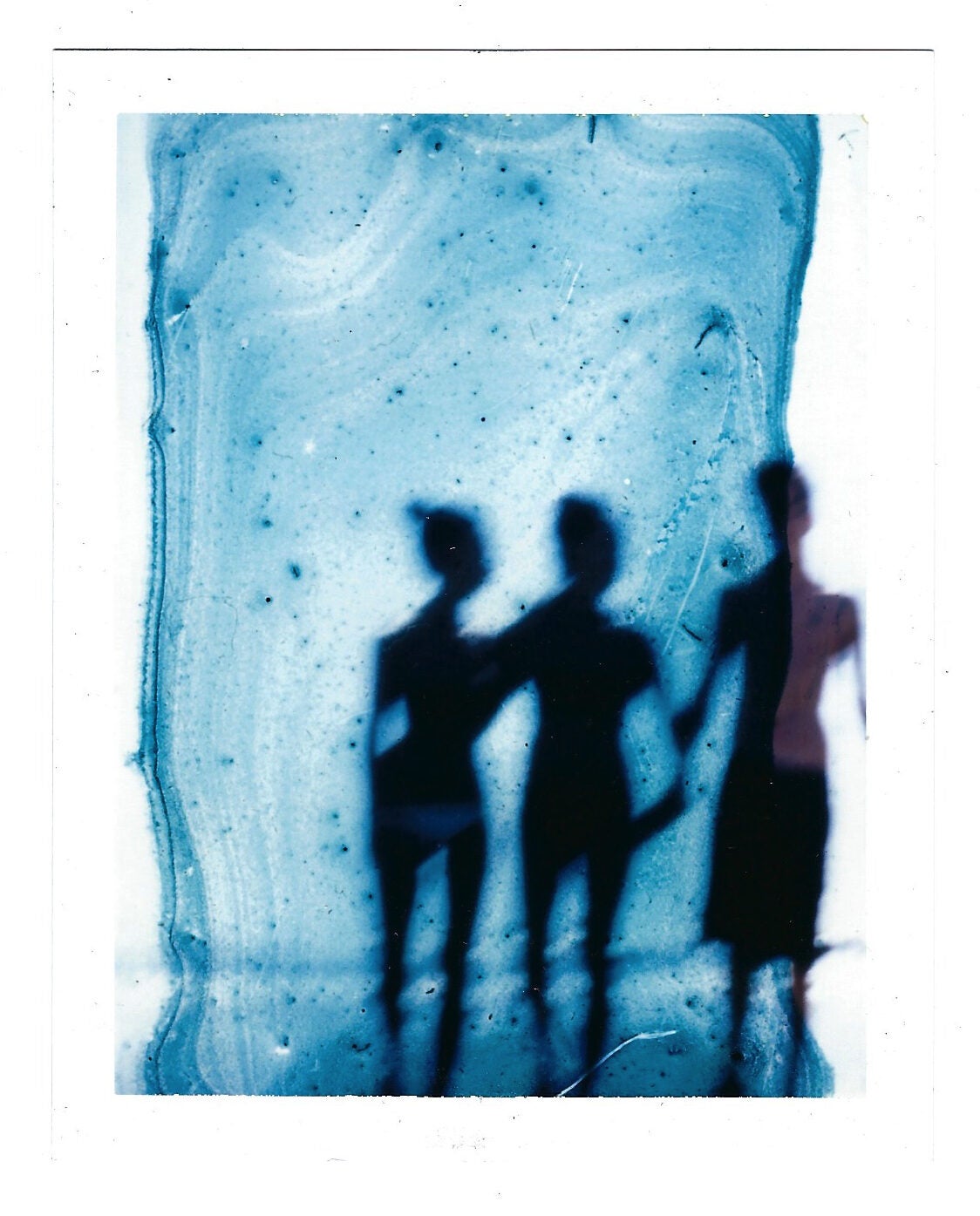 Are Plants People? With original photograph | Mark BORTHWICK