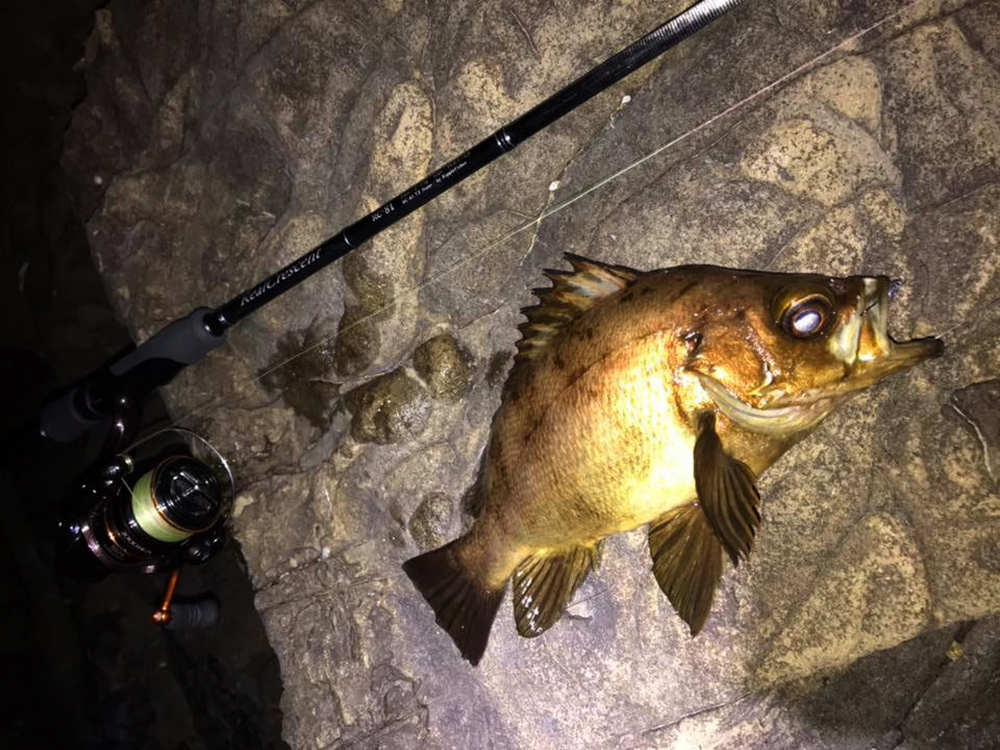 テストレポート】MonsterImpact 90H & RealCrescent 実釣レポート