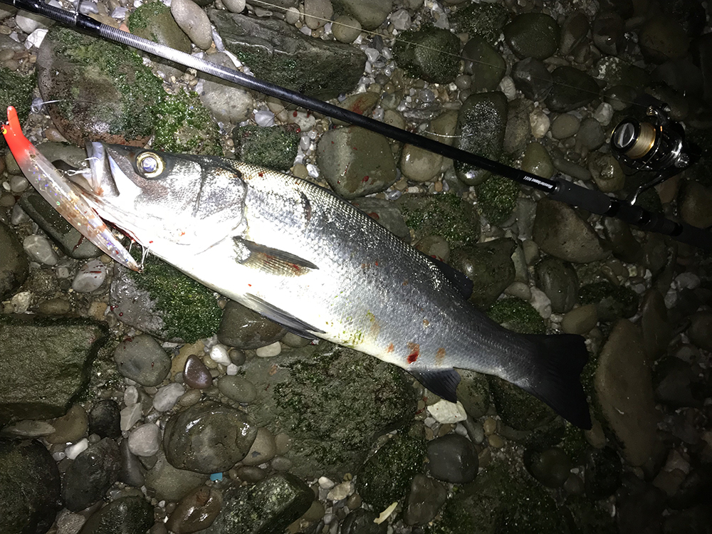 テストレポート】MonsterImpact 90H & RealCrescent 実釣レポート