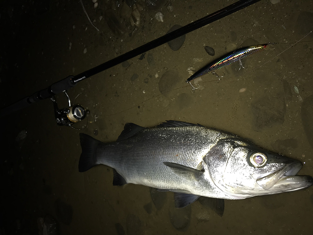 テストレポート】MonsterImpact 90H & RealCrescent 実釣レポート