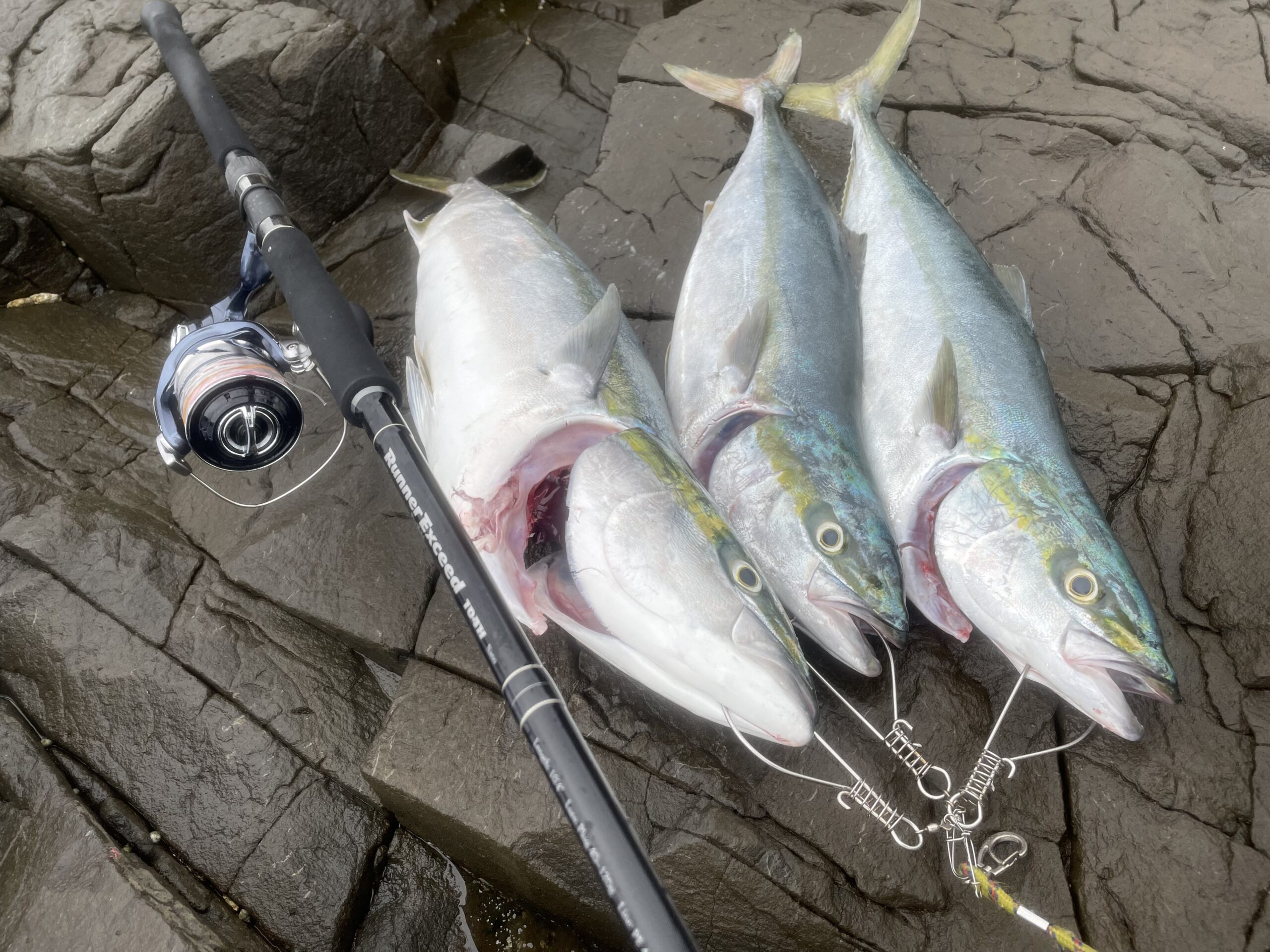 RunnerExceed 104H Nano PlugModel 新潟ロックショア・釣果報告