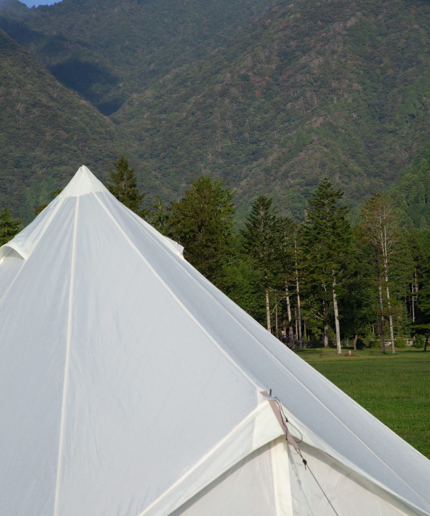 Asgard 12.6 PU SMU, Pristine White / アスガルド12.6 PU SMU