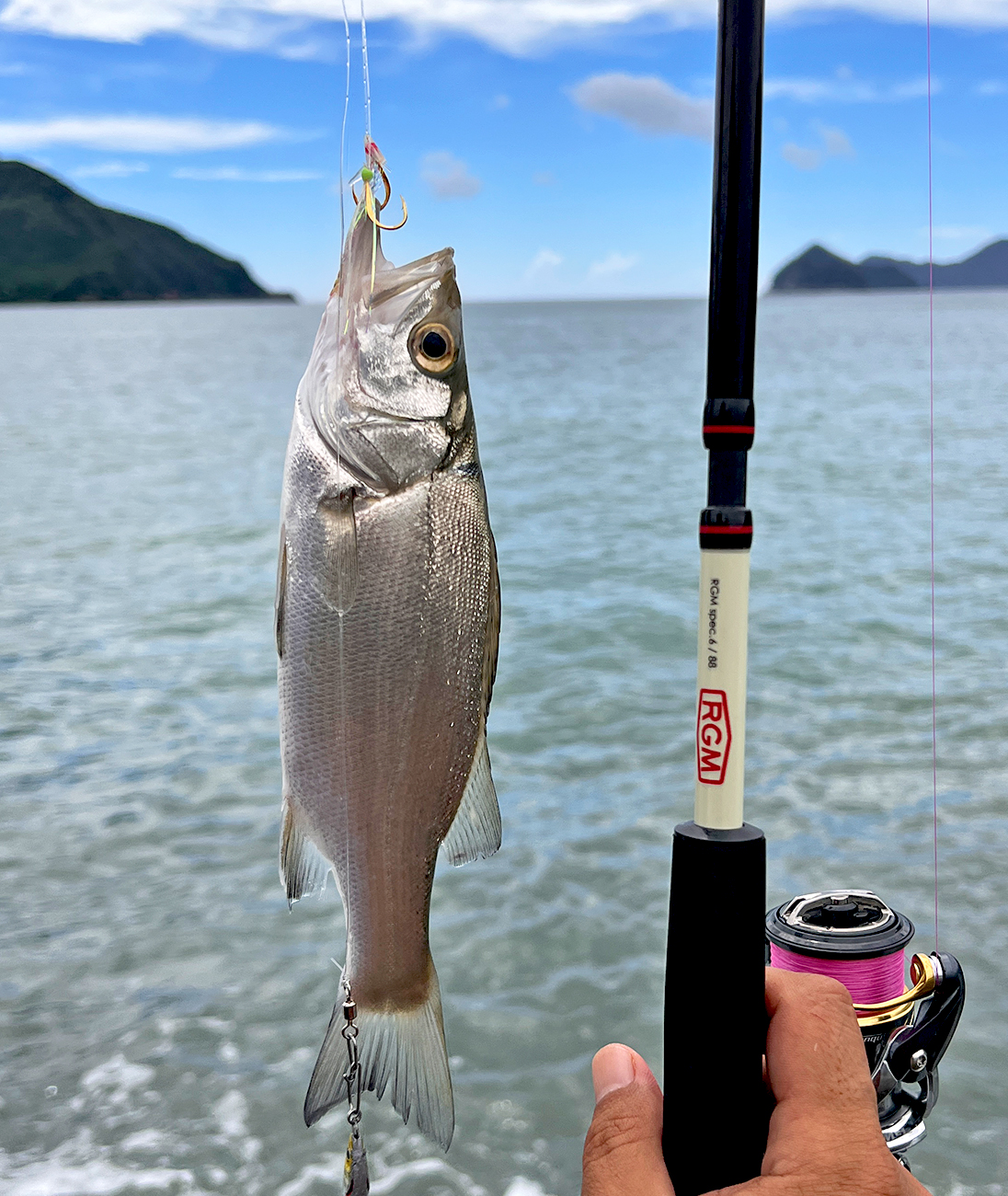 RGM spec.6 | ROOSTER GEAR MARKET | ルースター ギア マーケット