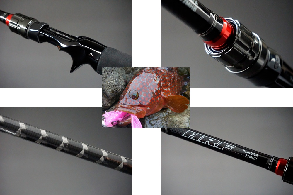 ダイワ（Daiwa）のロックフィッシュ専用おすすめベイト・スピニング