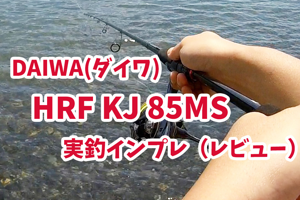 Daiwa（ダイワ）HRF KJ 85MS 実釣インプレ（レビュー）キジハタ