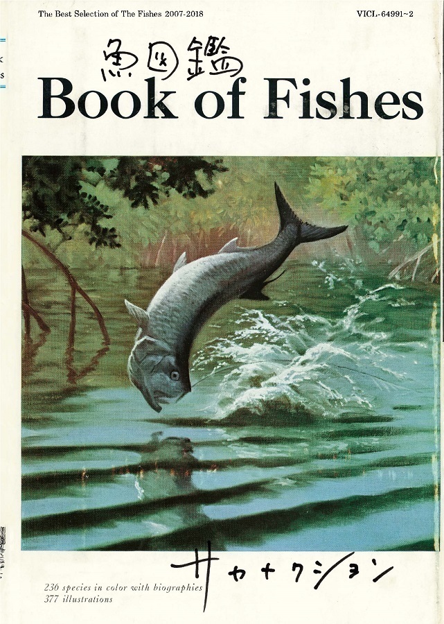 サカナクション、初のベストAL『魚図鑑』が初登場1位。「非常に嬉しく