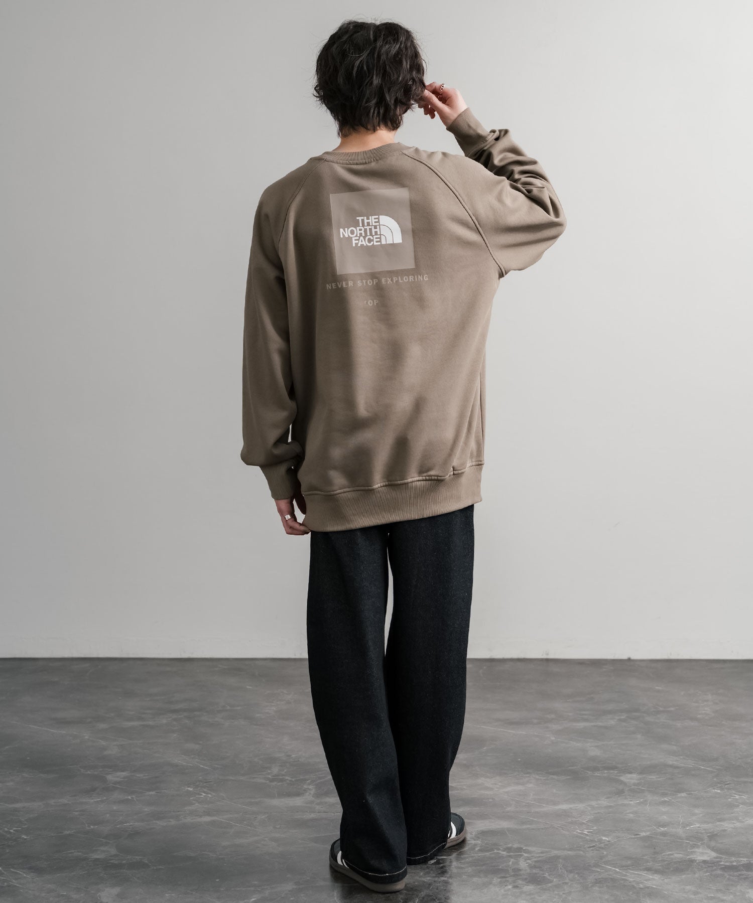 THE NORTH FACE ザ・ノースフェイス MEN S RAGLAN REDBOX CREW/バック