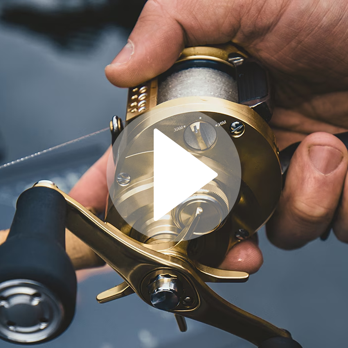 Calcutta Conquest 301 MD XG