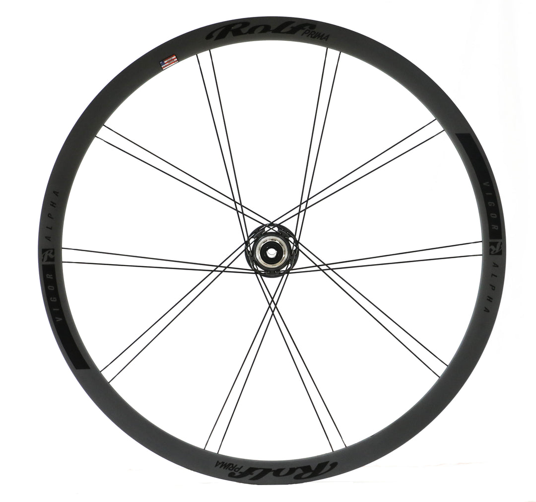 VigorAlphaStealthDiscRear_Stra