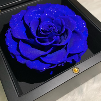 アンダーザローズ(M-N18) | ローズギャラリー銀座 オンラインショップ