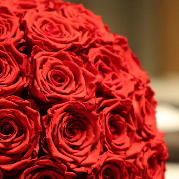 アンダーザローズ(M-N18) | ローズギャラリー銀座 オンラインショップ