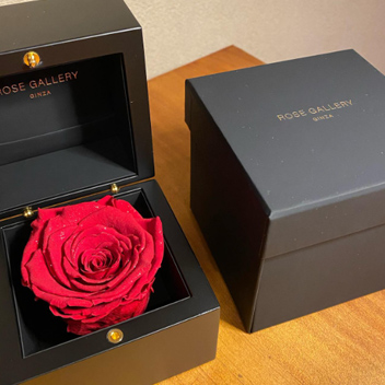 アンダーザローズ(M-N18) | ローズギャラリー銀座 オンラインショップ