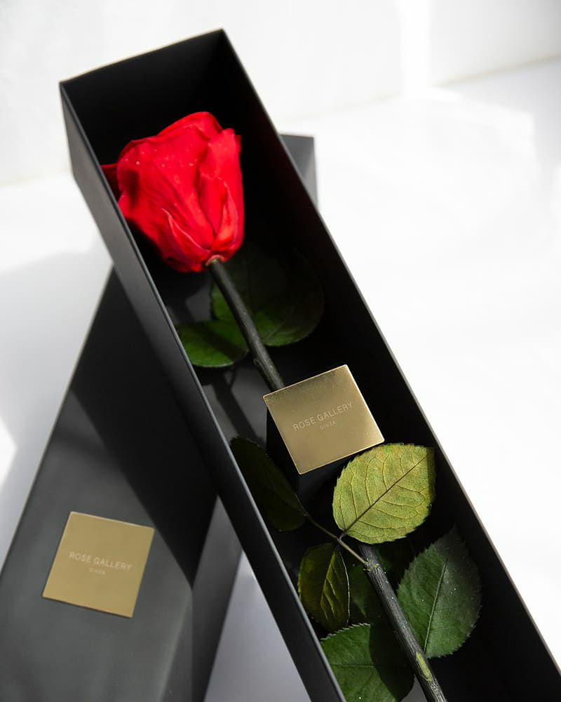 ザ・ワンスペシャルエディション | ローズギャラリー銀座 オンライン