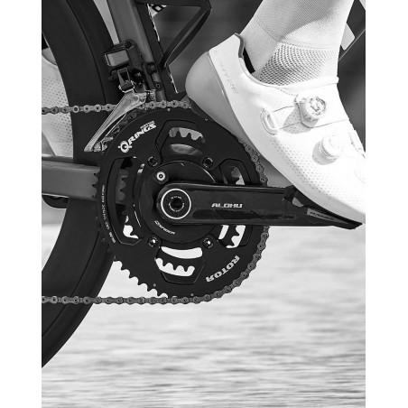 Rotor ALDHU Carbon Crank Arms
