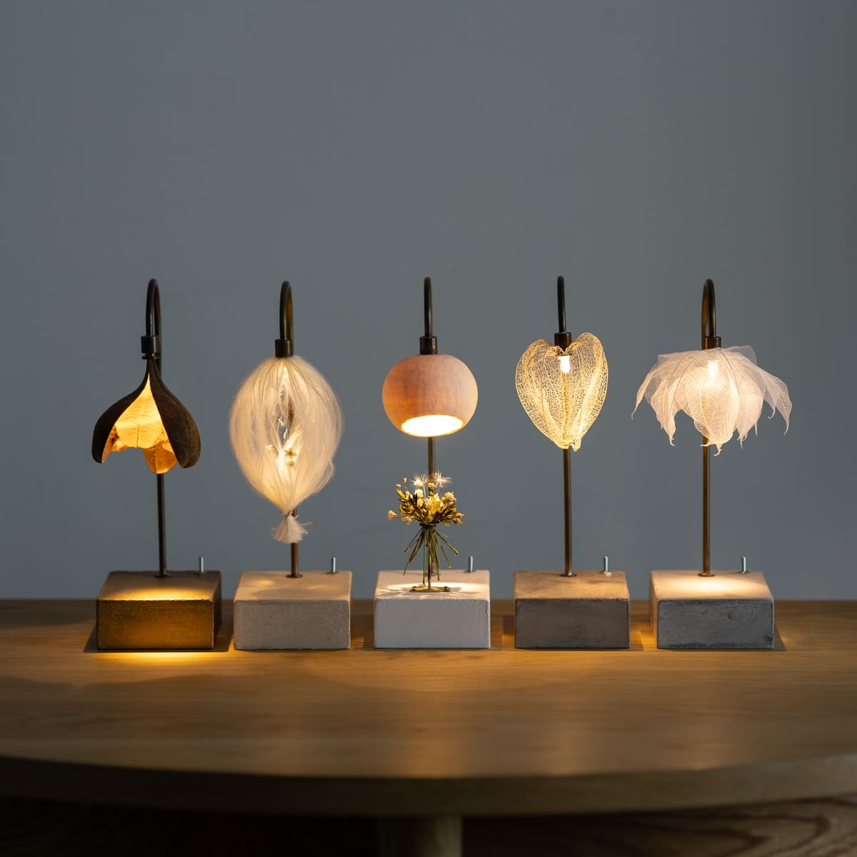 はいいろオオカミ＋花屋 西別府商店 森の小さな灯 | 石田ゆり子さんが