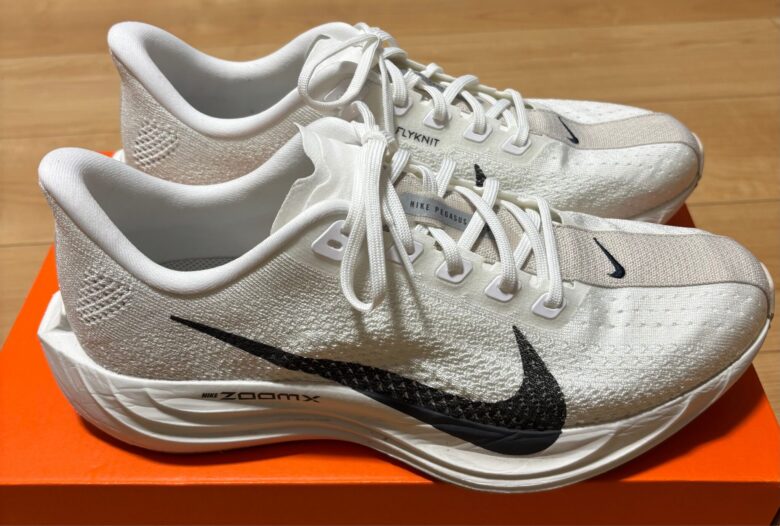 ランニングシューズレビュー】NIKE ペガサスプラス（PEGASUS PLUS