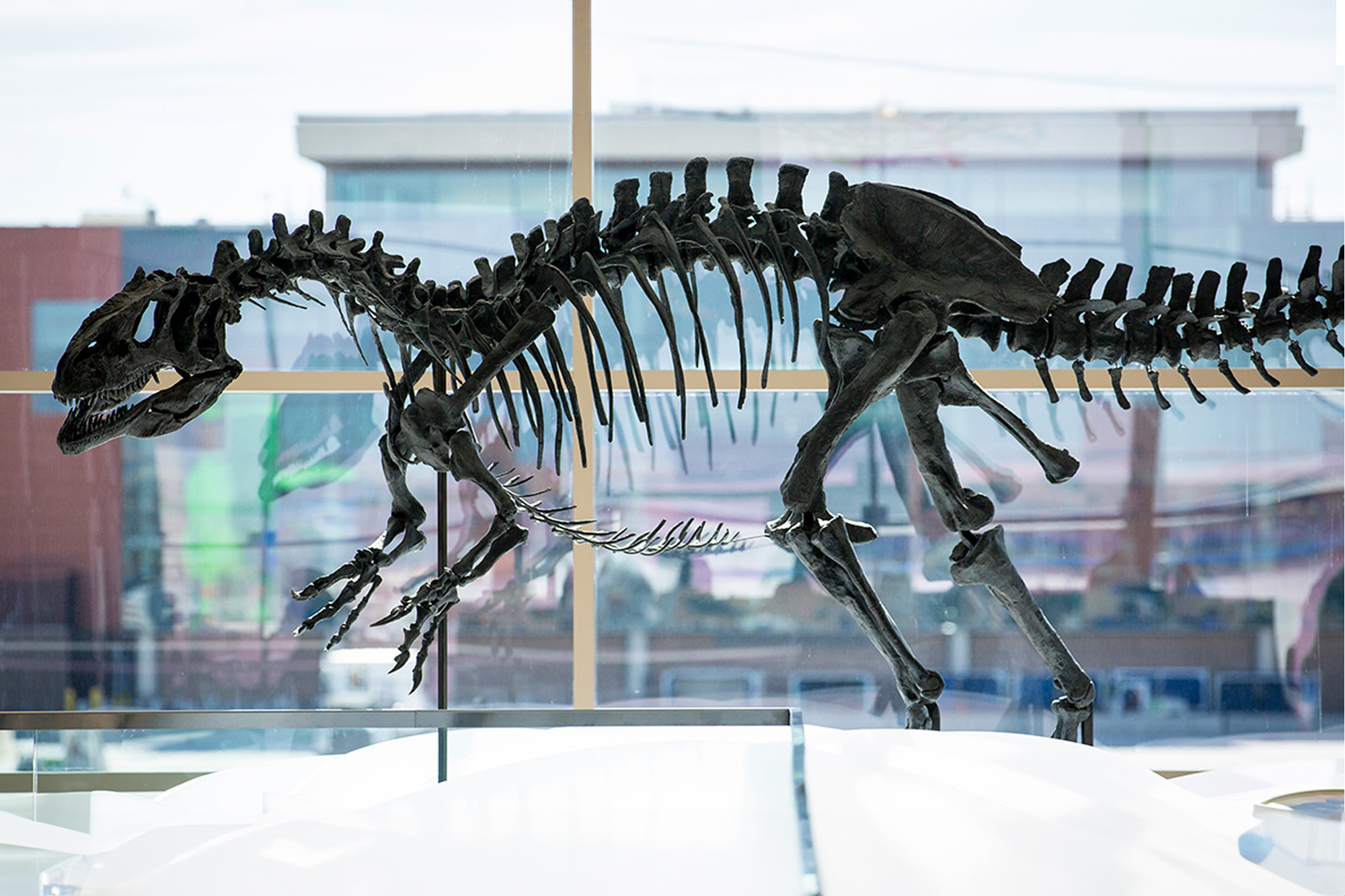 A dino-mite addition to SLC International Airport – College of Science