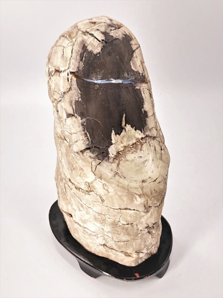 珪化木』 木化石 32×15×10cm 5.4kg 誂え木台付き |サムライ