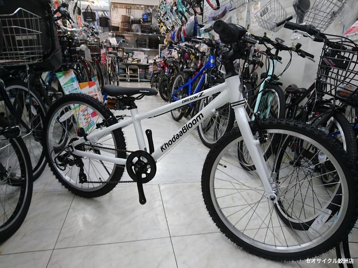 コーダーブルーム 新JRバイク ドレソンZ 【22インチ】 | セオ