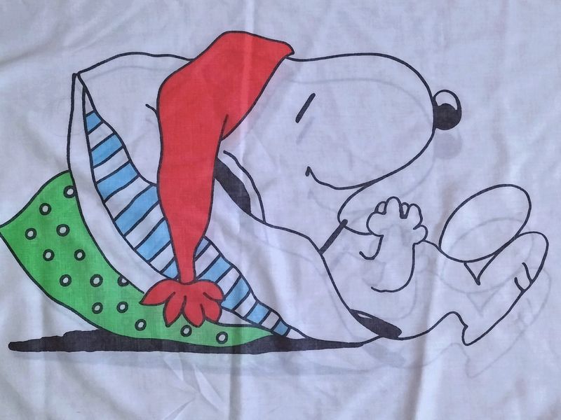 スヌーピー、ビンテージピロケース | 【San-D サンディー