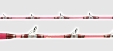 アリゲーター ビーダンサー