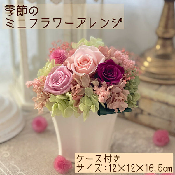 99704_600x600_crop_center.jpg?