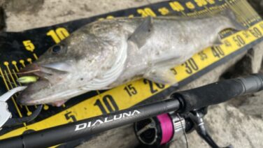 23ディアルーナインプレ！S90M実釣とおすすめ番手ご紹介。これコスパ