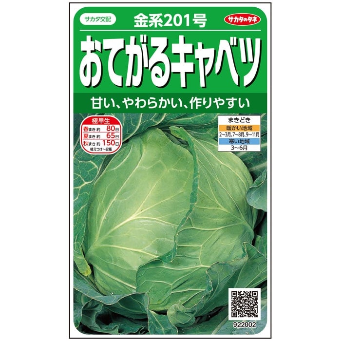 キャベツ 金系201号｜種（タネ）,球根,苗,資材,ガーデニンググッズの