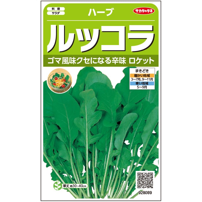 ハーブ ルッコラ（ロケット）｜種（タネ）,球根,苗,資材,ガーデニング