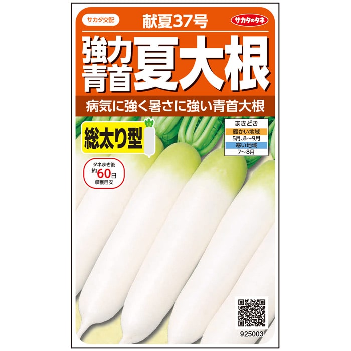 ダイコン 献夏37号｜種（タネ）,球根,苗,資材,ガーデニンググッズの
