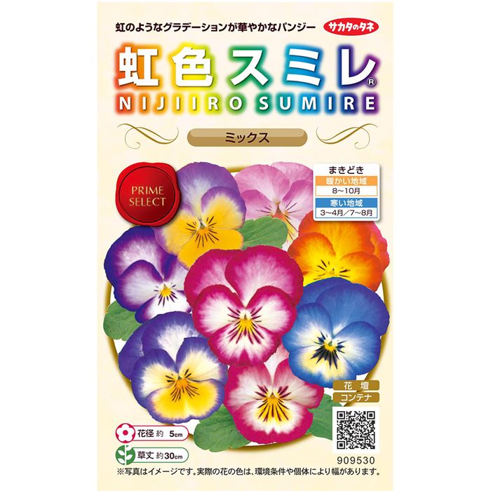 パンジー 虹色スミレ(R) ミックス｜種（タネ）,球根,苗,資材