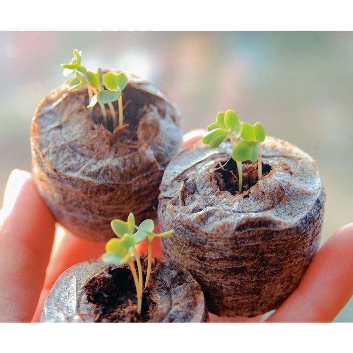 ジフィーセブン42mm（そのまま植えられる土ポット）｜種（タネ）,球根