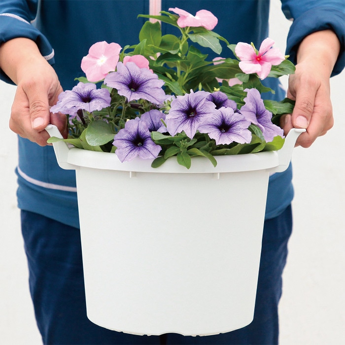 グロウコンテナ 24型｜種（タネ）,球根,苗,資材,ガーデニンググッズの