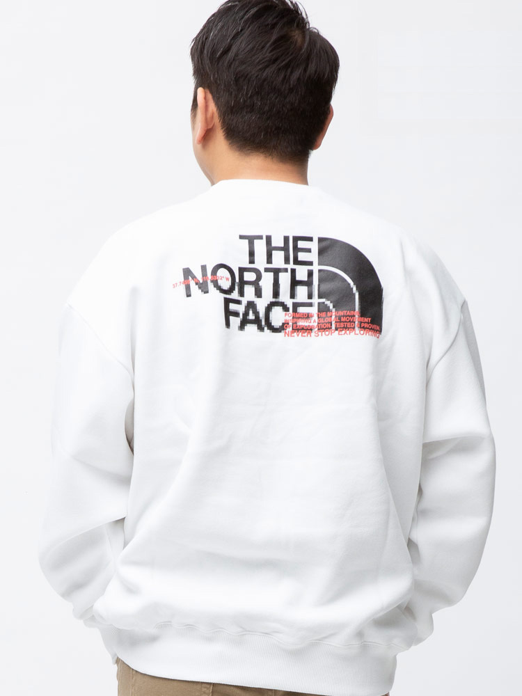 大きいサイズ メンズ THE NORTH FACE (ザ ノースフェイス) 裏起毛