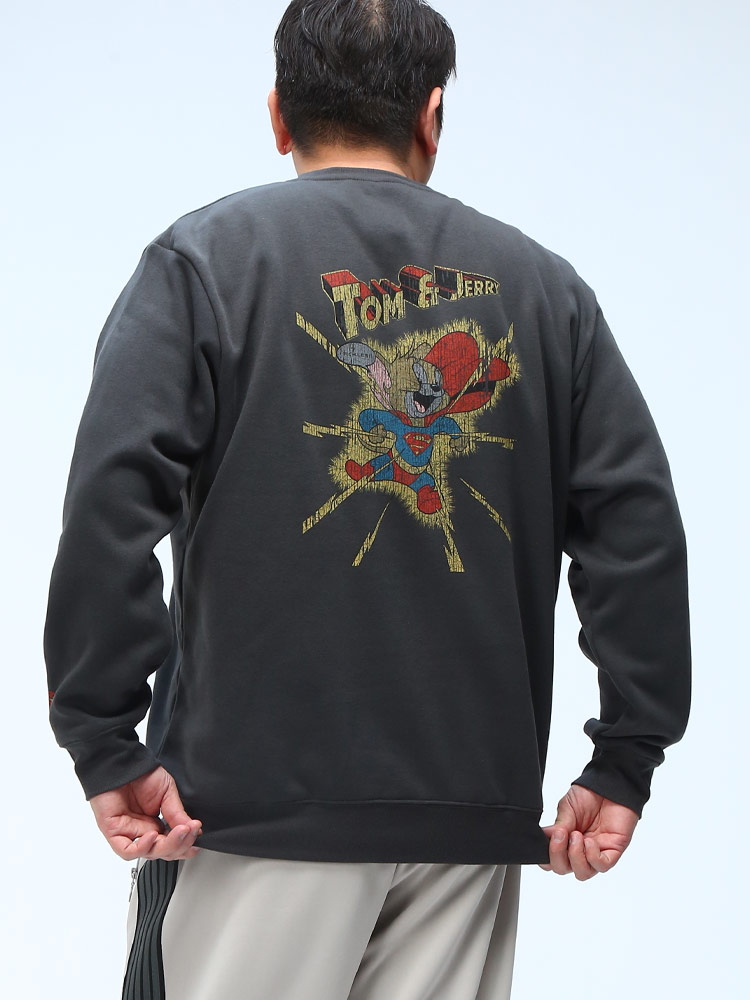 裏起毛 トレーナー ワーナー・ブラザーズ 100周年コラボ ピグメント風